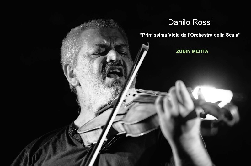Danilo Rossi viola